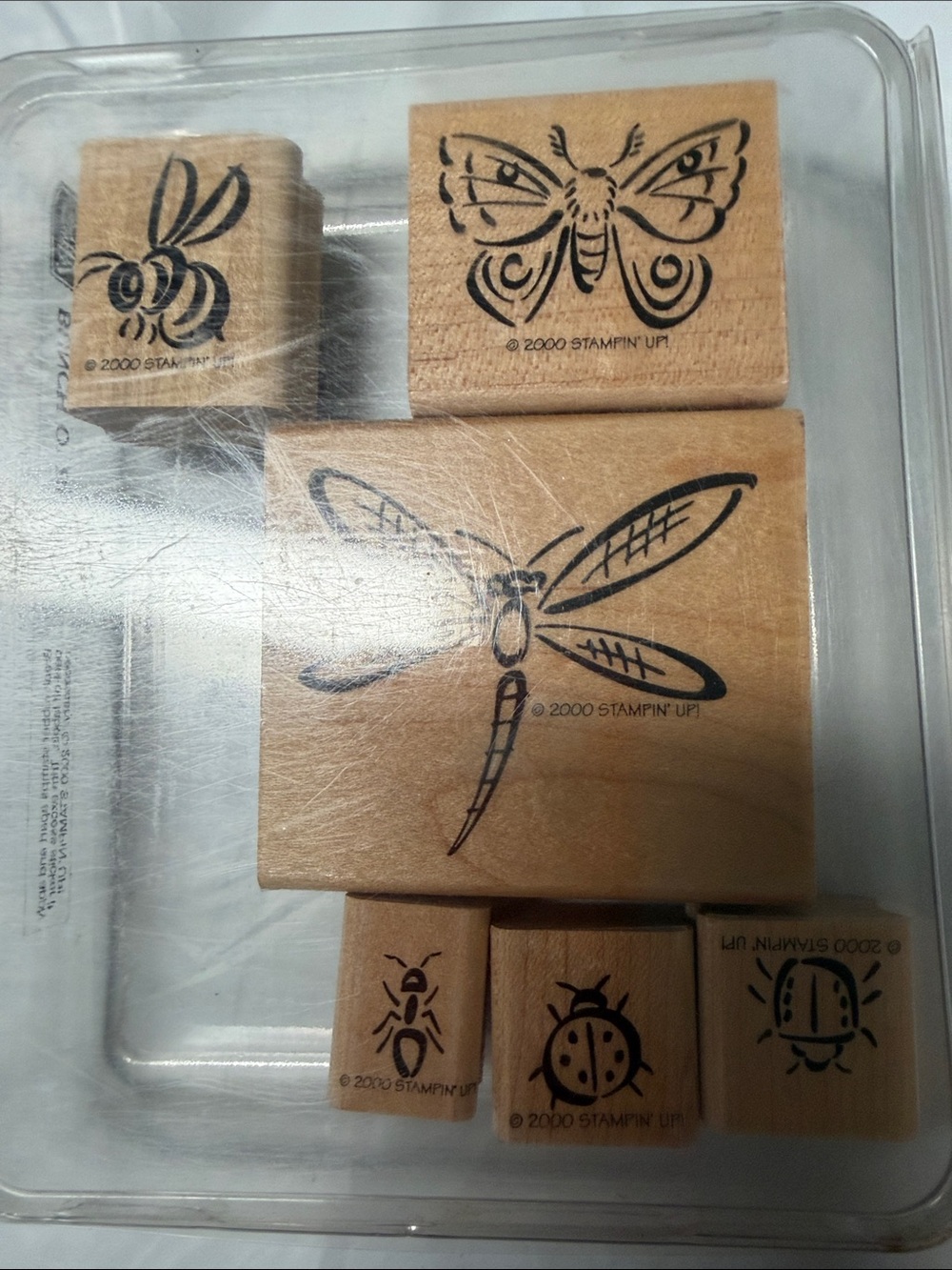 Stampin Up Bunch O’ Bugs